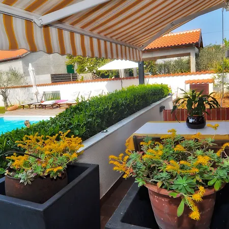 Vanilla With Heated Pool Апартаменти Задар