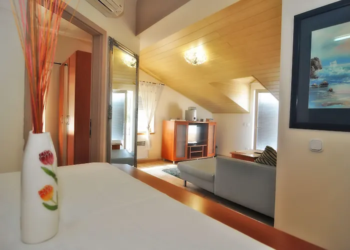 Vanilla With Heated Pool Apartmán Zadar